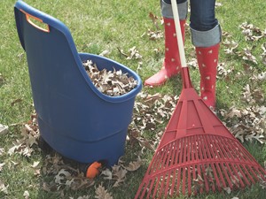 Woman Raking Leaves