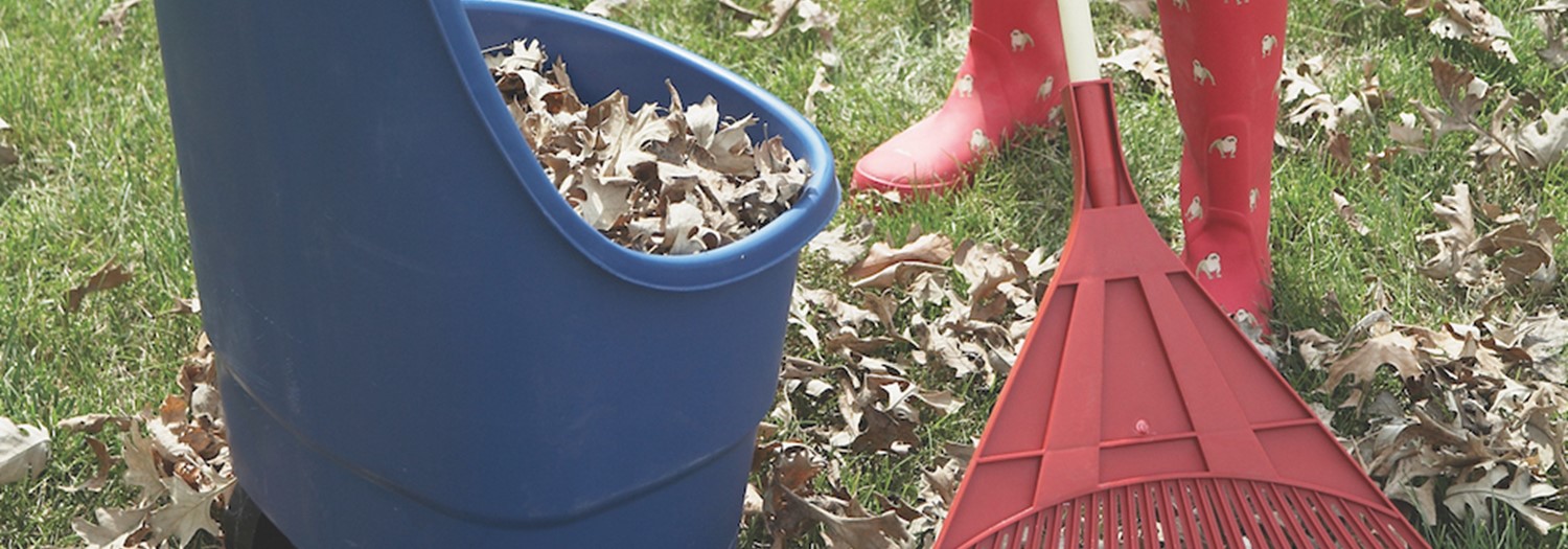 Woman Raking Leaves