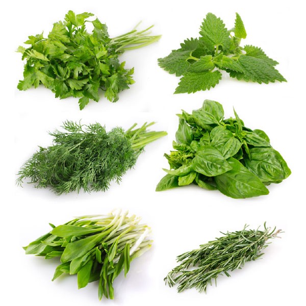 Fresh Herb Varieties