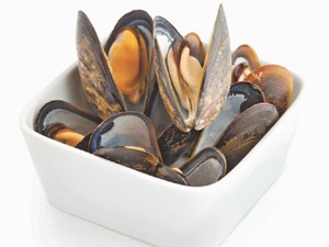 Shell Muscles in a Bowl